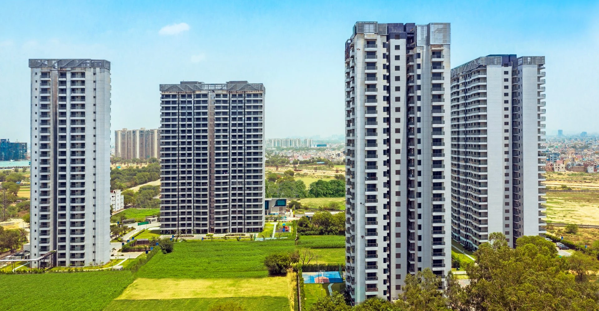 Paras Dews Gallery Image