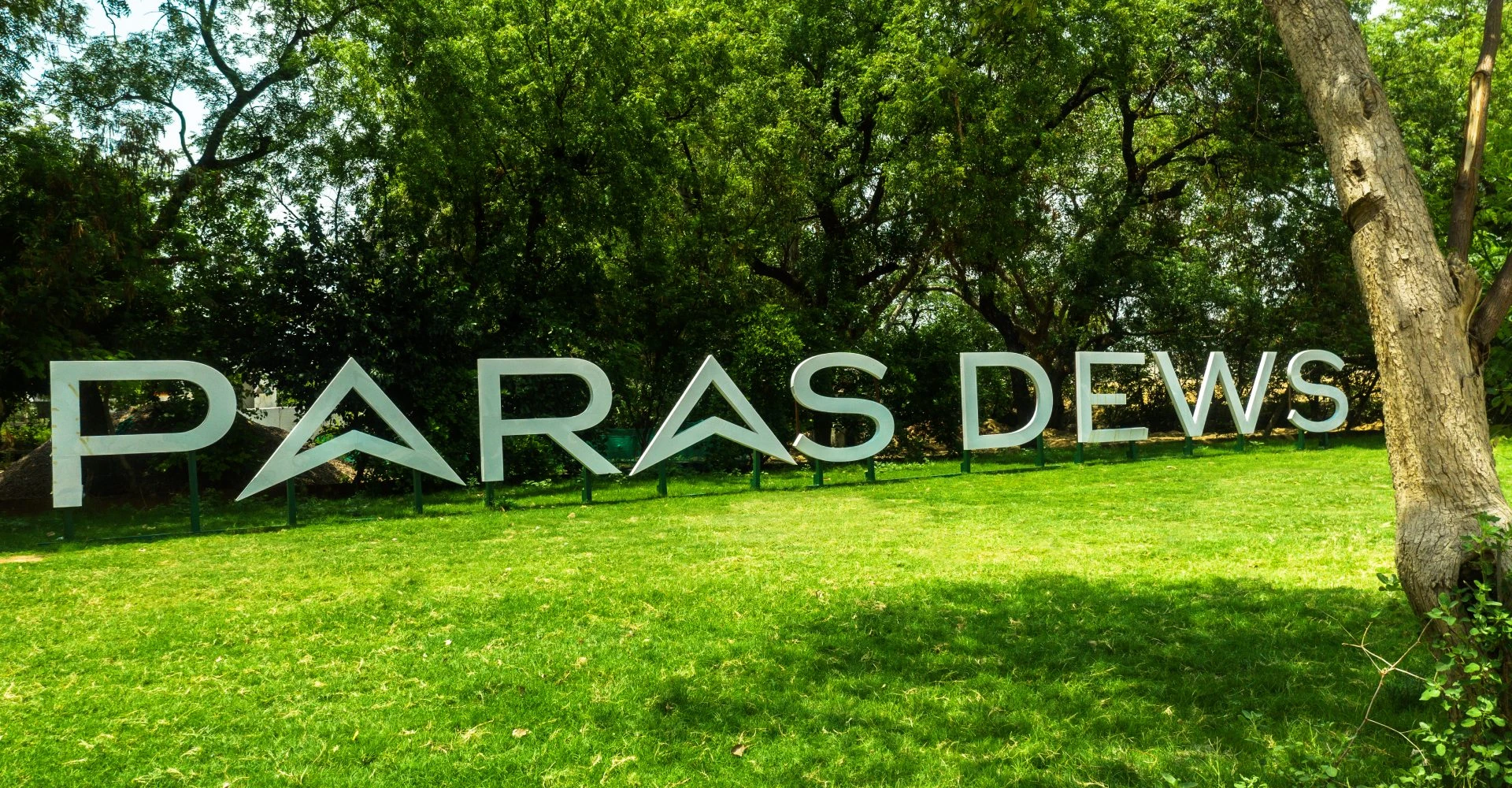 Paras Dews Gallery Image