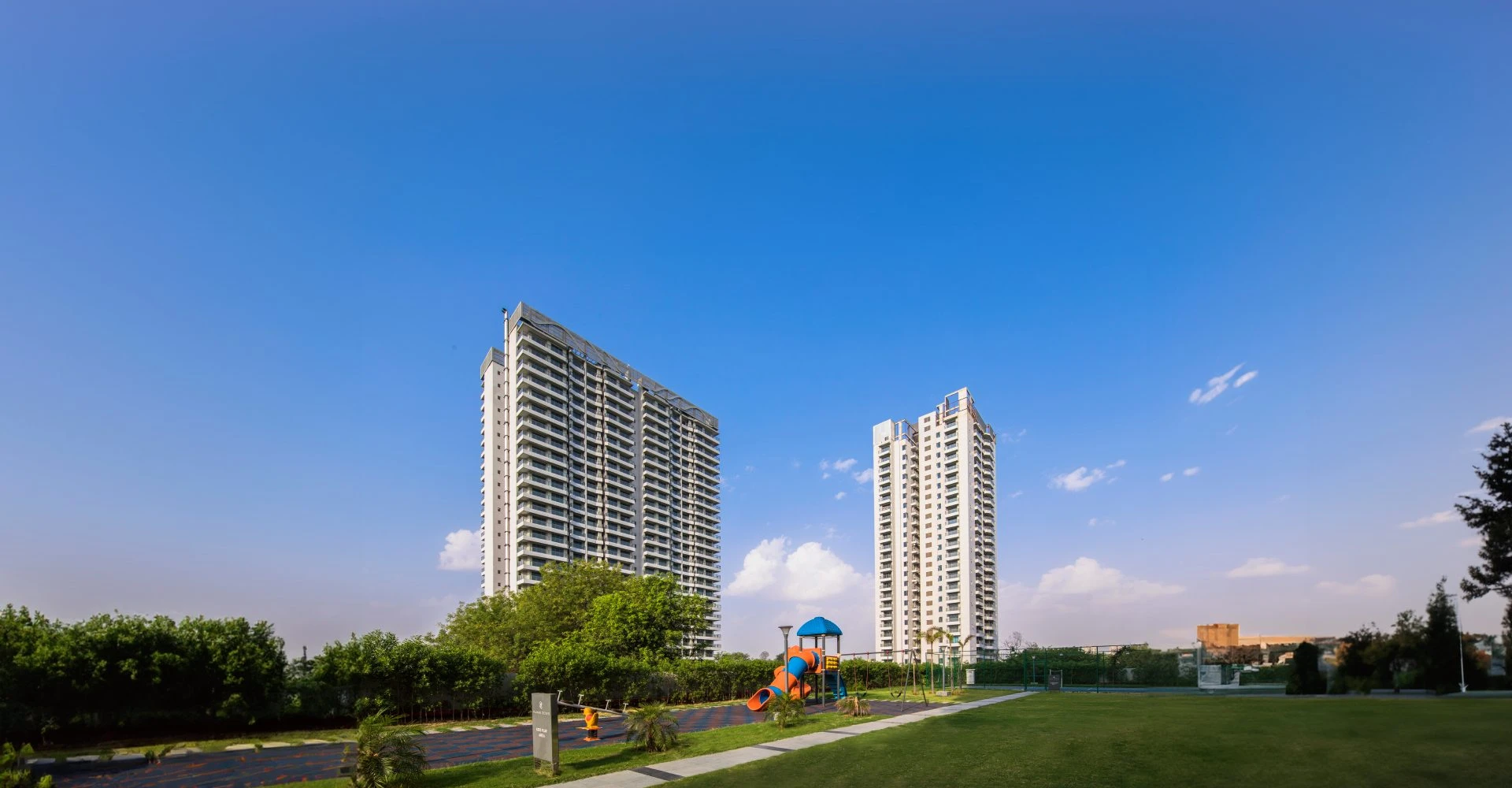 Paras Dews Gallery Image