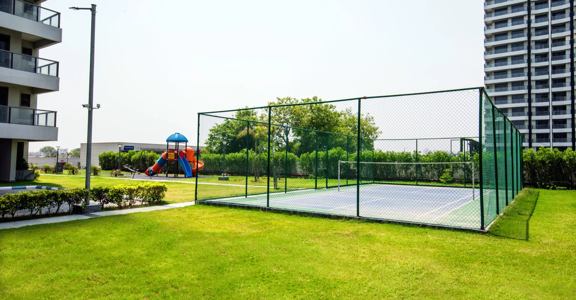 Paras Dews Gallery Image