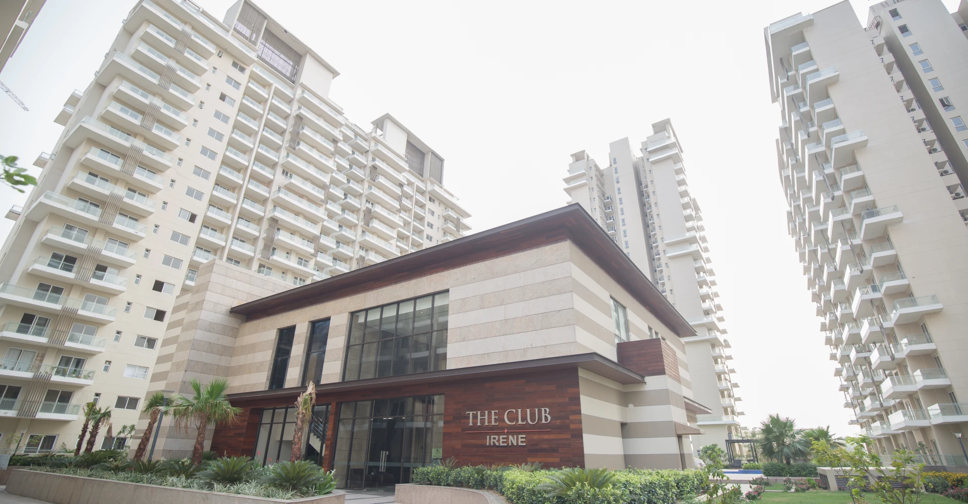 Paras Irene Gallery Image