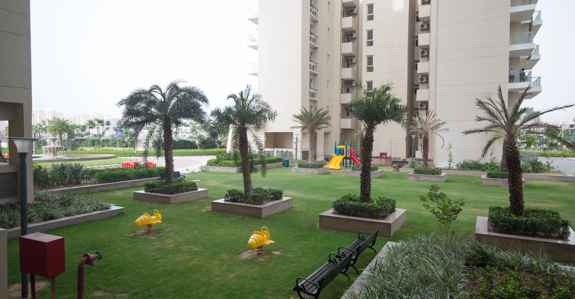 Paras Irene Gallery Image